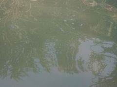 -楼观道温泉酒店