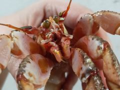 -大连熟食品交易中心