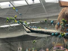 -南宫五洲植物乐园