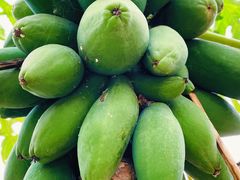 -任达丞国农庄(任达山庄店)