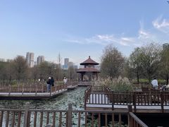 -五缘湾湿地公园