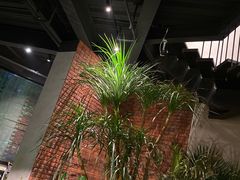 -J Create城市露营咖啡·简餐·宠物(上海动物园店)
