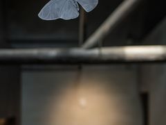 -元白和创园展厅