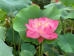 -五谷杂粮(农业南路店)