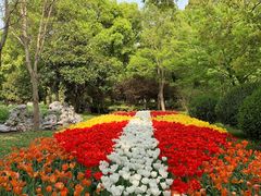 -上海鲜花港