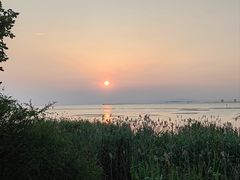 -西京湾花海