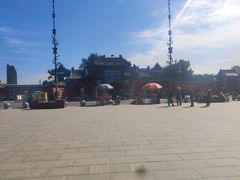 -药王庙(安国市)