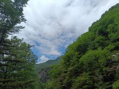 -朱雀国家森林公园