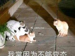 -麦度量贩式KTV(中联广场店)