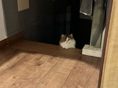 -佳雯宠物医院·皮肤科·内外科(春晓路分院)