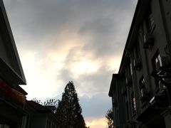 -复旦大学本部-食堂