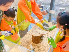 -怪兽屋·羊驼·猫咖·狗咖(俊华广场店)