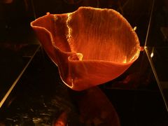 展品-上海琉璃艺术博物馆