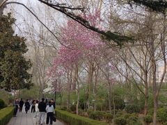 -济南植物园