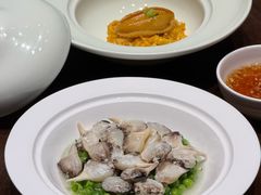 -新光酒家·方亮蟹宴·河豚(浦东店)