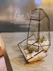-LILY NAILS美甲美睫