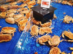 -盒马鲜生(和谐广场店)
