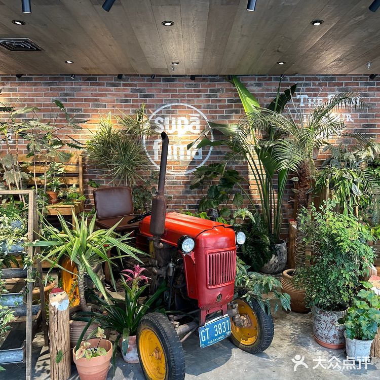 有机绿色眼前一亮！农场西餐🍴健康美食打卡