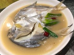 -新楚记