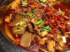 -宽口美蛙鱼头(大唐西市店)