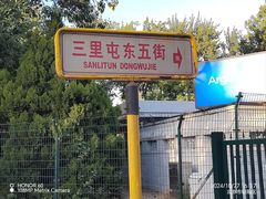 -三里屯东五街银杏大道