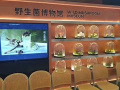 -芸山季·云南山珍菌火锅(人民广场来福士店)