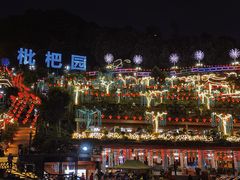 -枇杷园食为鲜火锅(南山店)