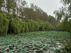 -芜湖方特东方神画