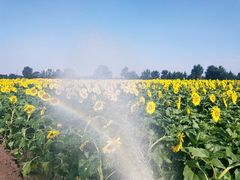 -汉长安城未央宫国家考古遗址公园