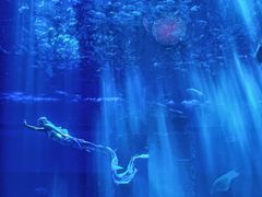-南昌融创海世界