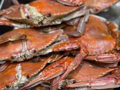 -滨海小渔村·海肠捞饭·鲅鱼水饺·特色老火鱼丸汤(华田店)