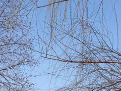 -张江润和国际总部园