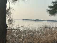 -苏州湾体育公园