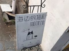 -海边的猫和咖啡馆