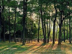 -北京西山国家森林公园