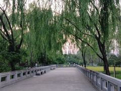 -北坞公园