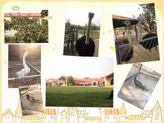 农场景观-意大利农场度假村