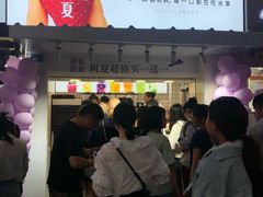 -树夏(建设路店)