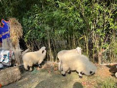 -HERRE·FARM 赫尔露营农场·团建聚会包场