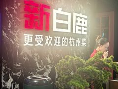 -新白鹿餐厅(百联中环店)