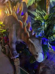 -恐龙探索乐园(磁器口店)