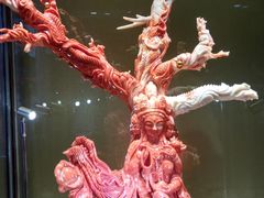 -绮丽珊瑚博物馆(台东店)