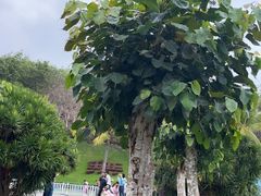 -三亚南山文化旅游区