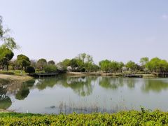 -贡湖湾湿地公园