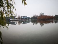 -白鹭湾湿地公园