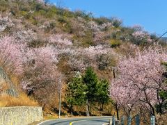 -妙峰山风景名胜区