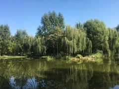 -石家庄市植物园
