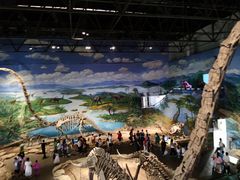 -自贡恐龙博物馆