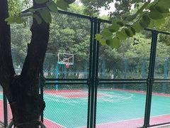 -光明港公园