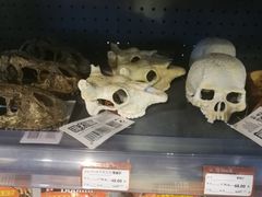 -宠物世家(仲盛世界商城店)